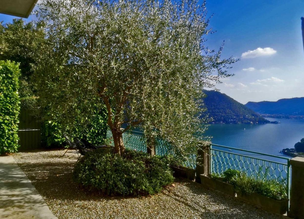Como Lake Panorama Apartment Sveva تْشيرنوبيو المظهر الخارجي الصورة